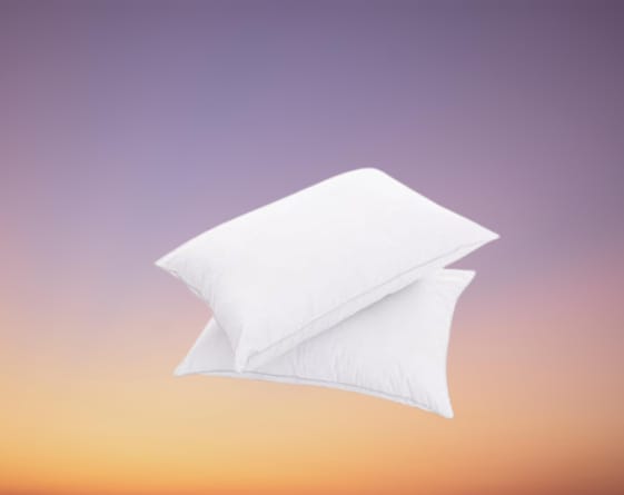 Set 2 perne hypo alergice 50x70 cm
